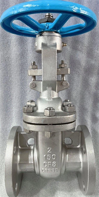 Valvola a saracinesca in acciaio inossidabile